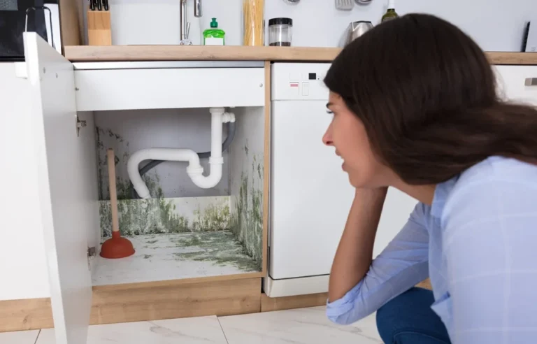 Prevent Mold Growth